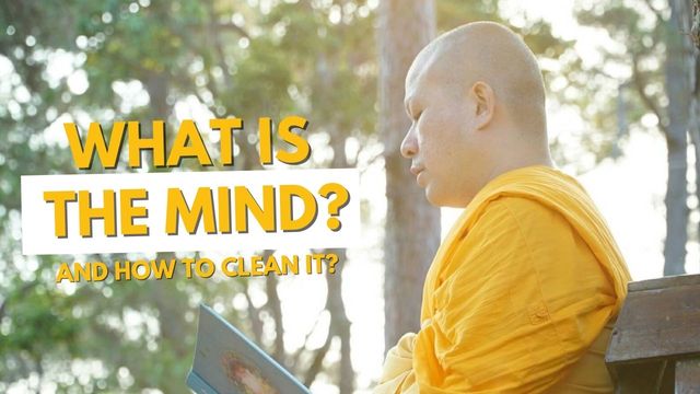New video: what is the mind