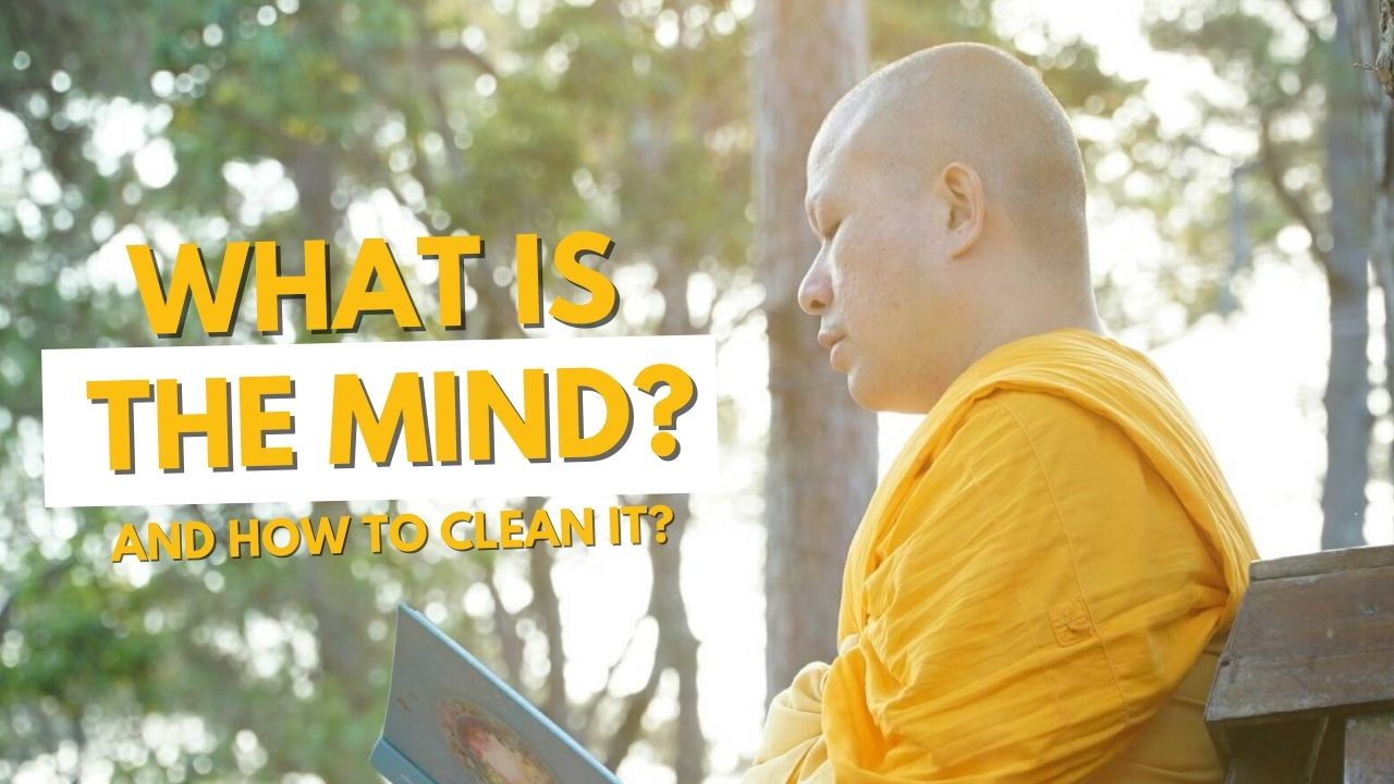 image from New video: what is the mind
